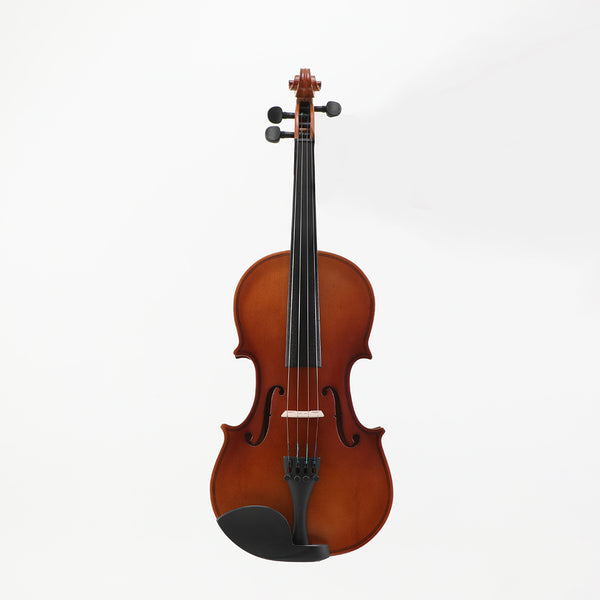 Viotune Violin Set 1/64-4/4 Size for Beginners Adults Students Kids,Violin Outfit With Case,Rosin,Bow,Bridge