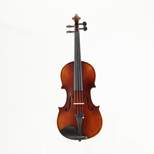 Viotune half-handmade color Violin Set 1/64-4/4 All Size for Student Beginners,beginning level