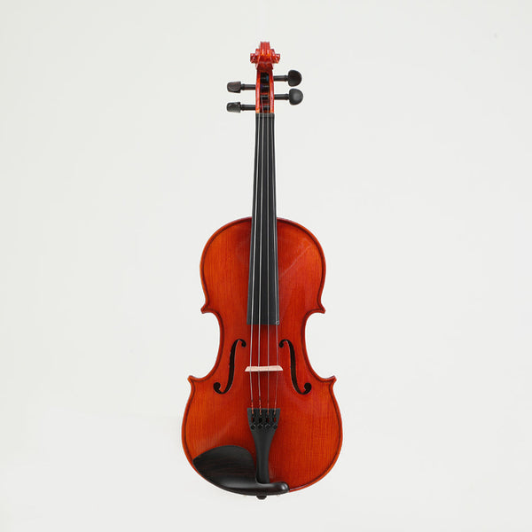 Viotune Half-handmade Beginning Level Varnish Violin Set 1/64-4/4 All Size for Adults Beginners