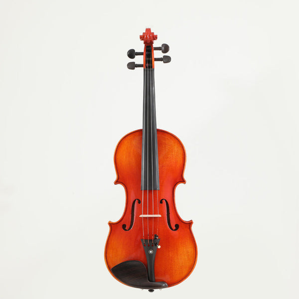 Viotune Handmade Intermediate Middle-grade Violin Set 1/64-4/4 All Size for Adults Student Beginners