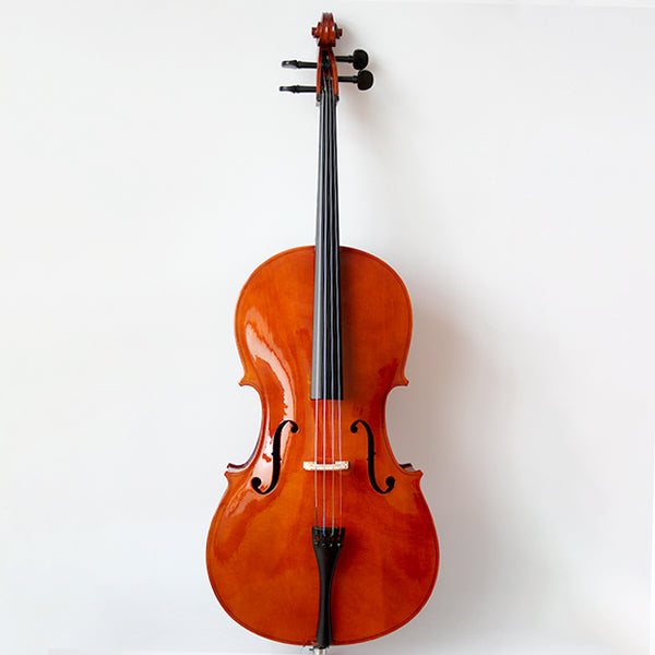 Viotune Beginner Cello Set 1/16-4/4 All Size for Adults Student Kids,Beginning level Cello